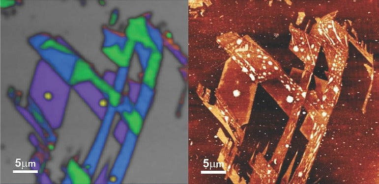 AFM: Co-localized AFM-Raman and TERS Training HORIBA
