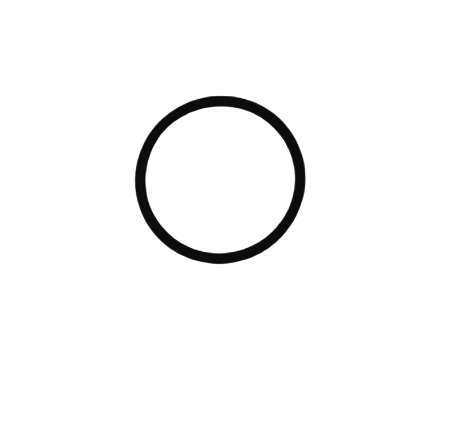 Photo of a black O-ring for flow-cell water HORIBA