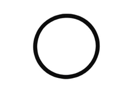 Photo of a black O-Ring for flow cell water HORIBA