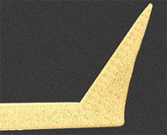 Photo of the gold Probe: OMNI-TERS-SNC-Au HORIBA