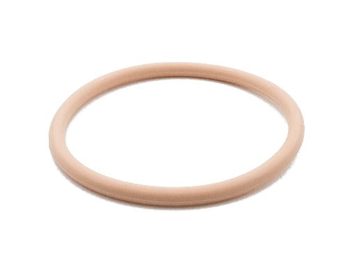 Photo of O-Ring P50 for sealing the filter cap HORIBA