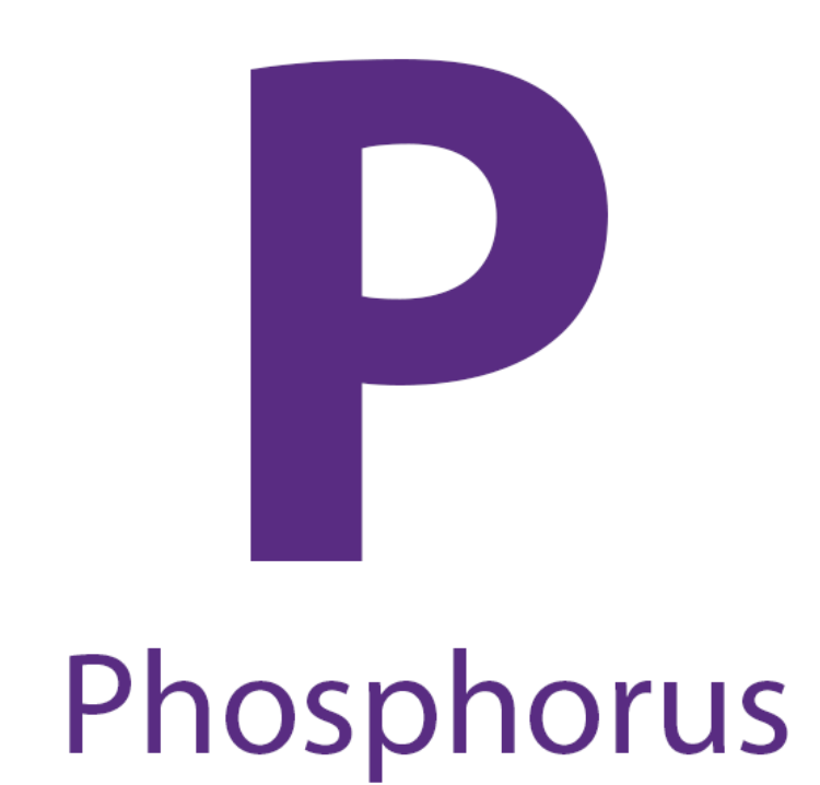 Photo of the Phosphorus Element HORIBA