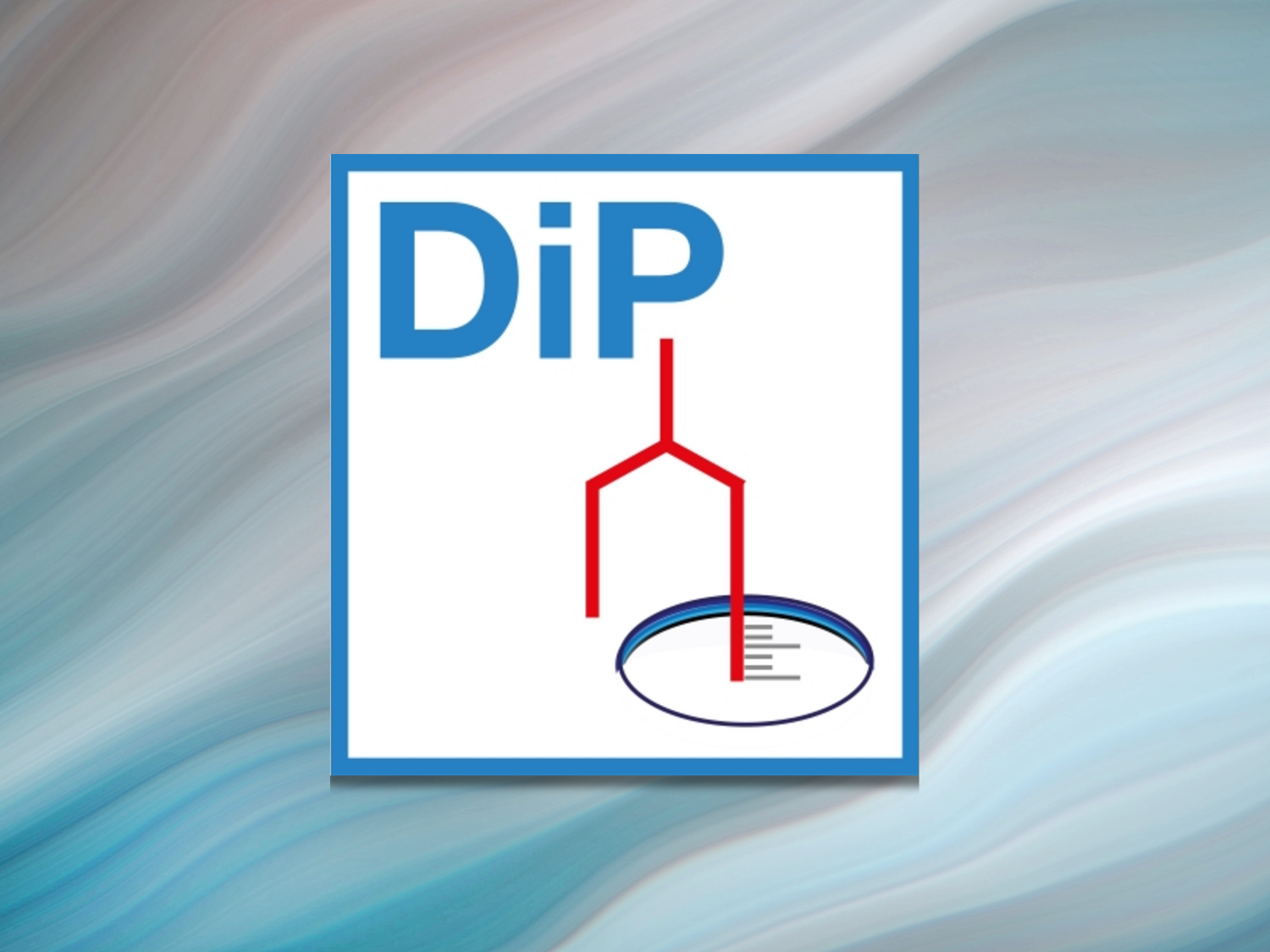 DIP logo accessory on a wavy blue background