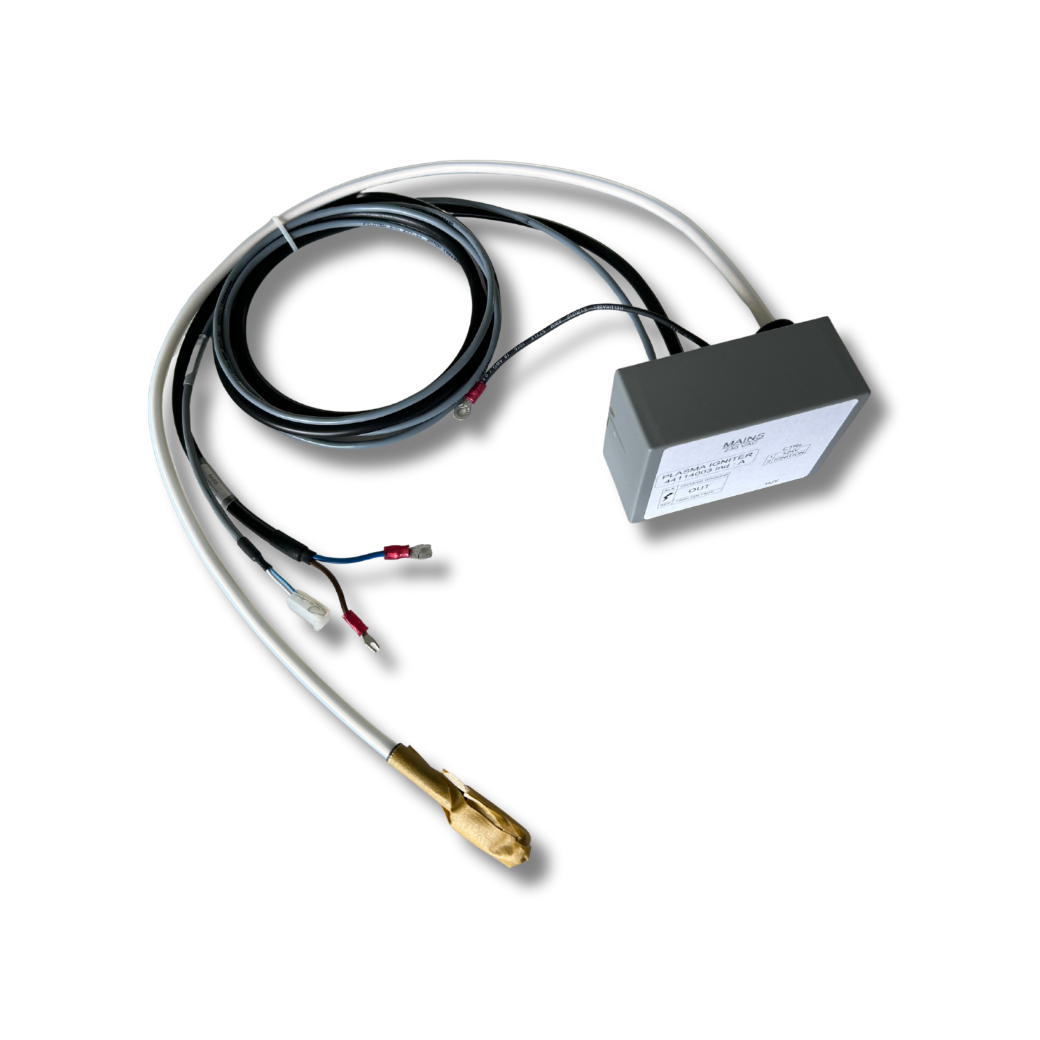 Photo of the Plasma Ignitor for Ultima 2 HORIBA