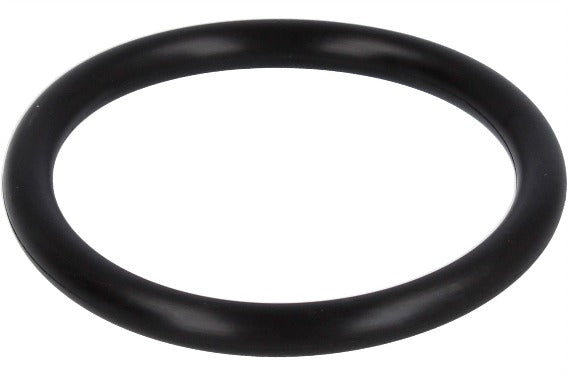 Photo of a black O-ring JIS2401 P50A for upper electrode HORIBA