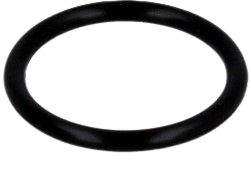Photo of a black O-Ring P21 FPM HORIBA