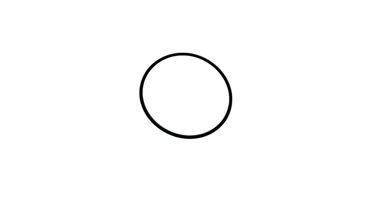 Photo of O-Ring 