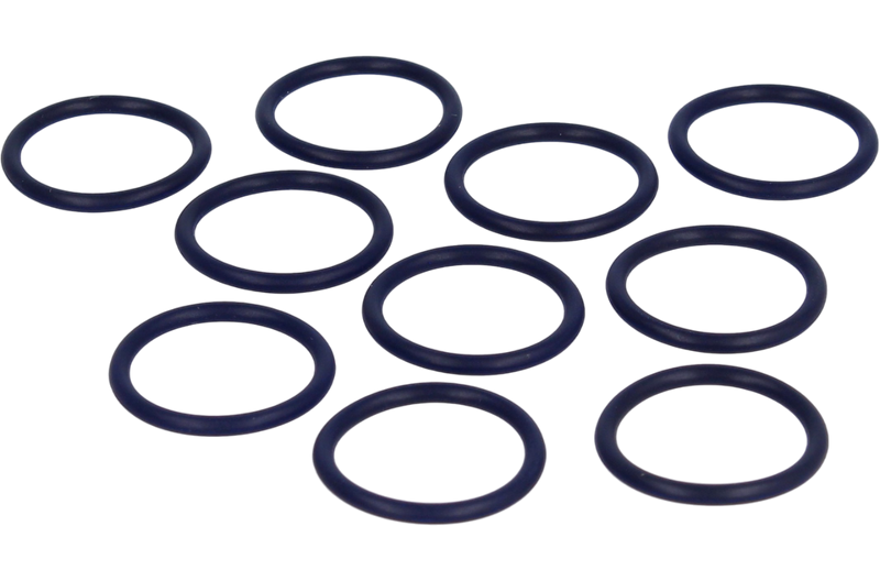 Photo of O-ring for EMGA Expert