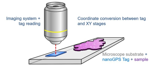Draw on how to use nanoGPS tags with your sample HORIBA