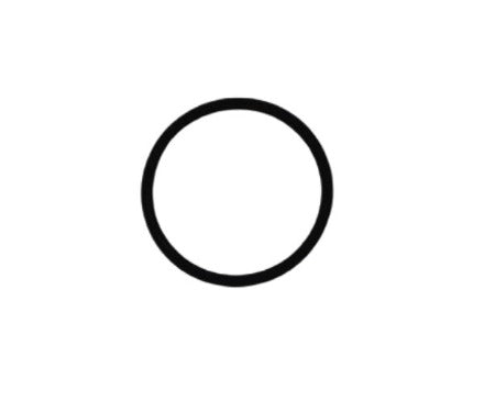 Photo of a black O-ring HORIBA