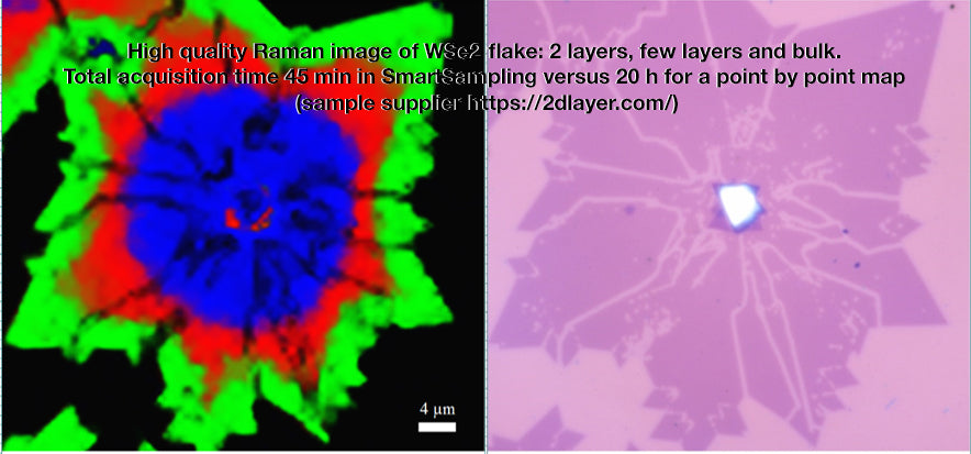 SmartSampling: To speed-up your Raman analysis #1300101349