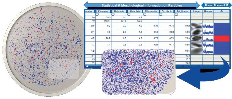 ParticleFinder: For particle identification and quantification #130001