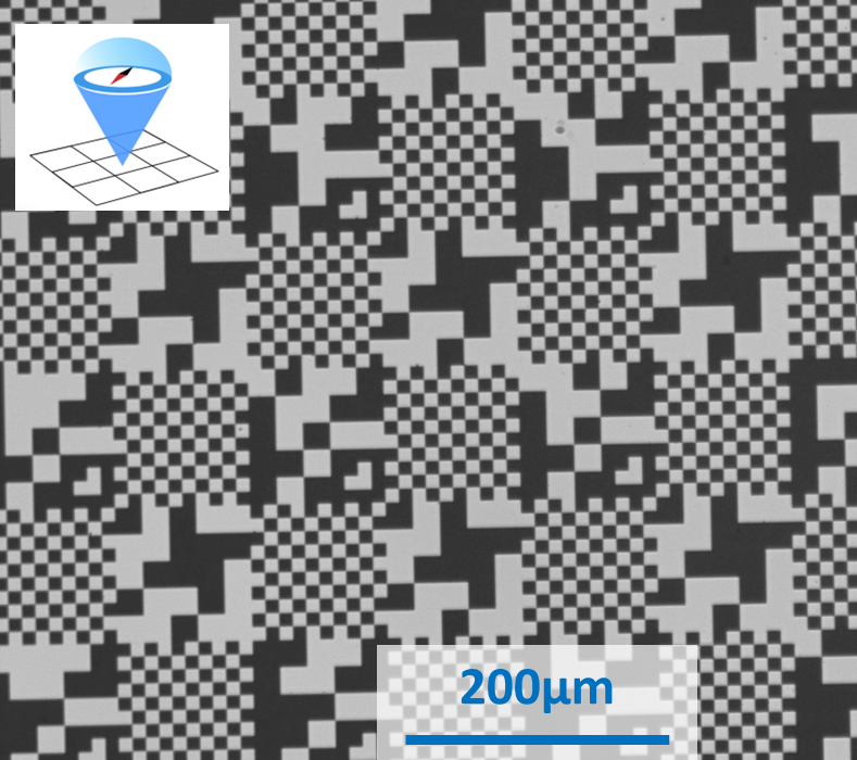 Screenshot of Microscopy View with a 200µm scale